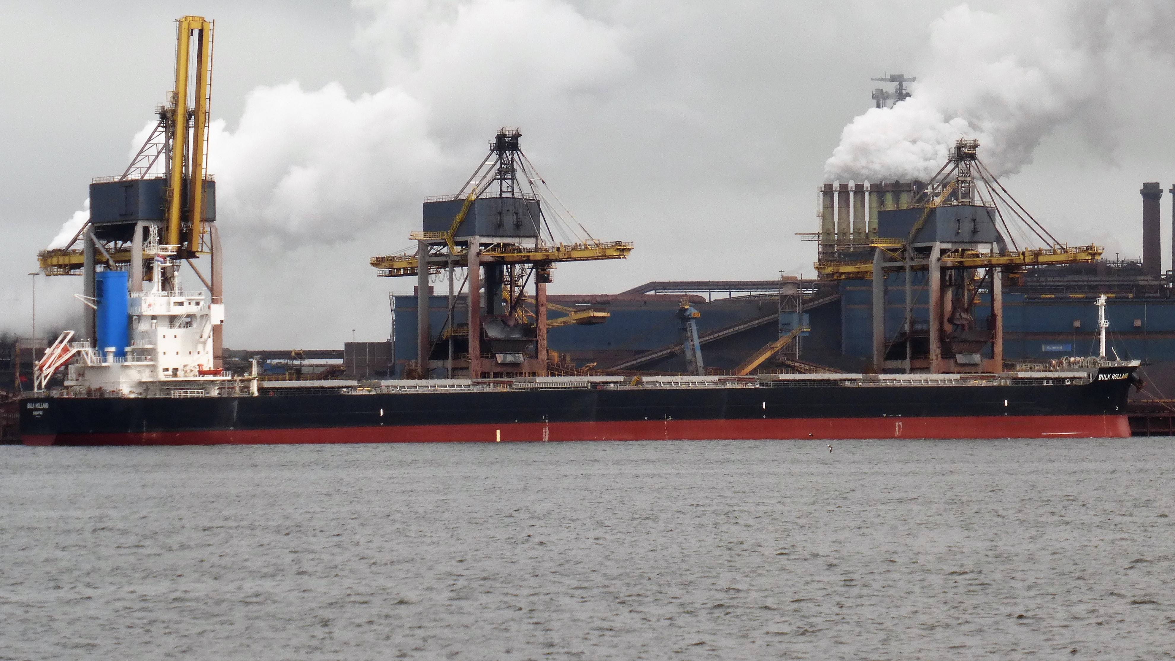 BULK HOLLAND 